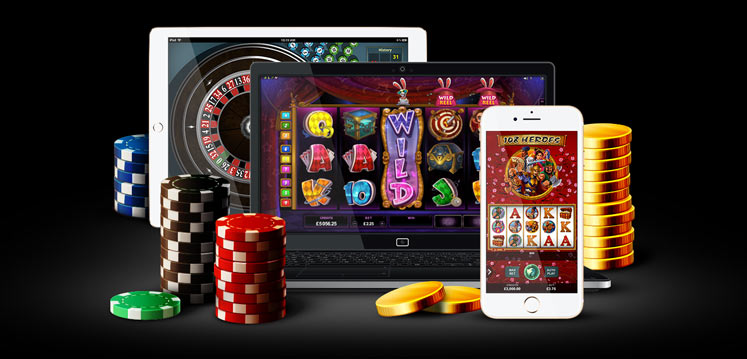 Discover the Thrill of Amigo Wins Discover the Thrill of Amigo Wins